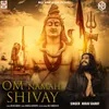 Om Namah Shivay